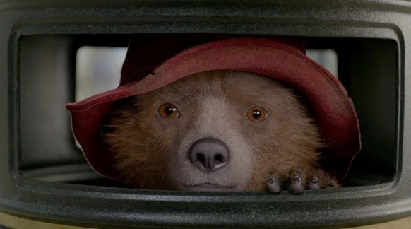«Приключения Паддингтона 2» и российский прокат: цирк глазами медведя