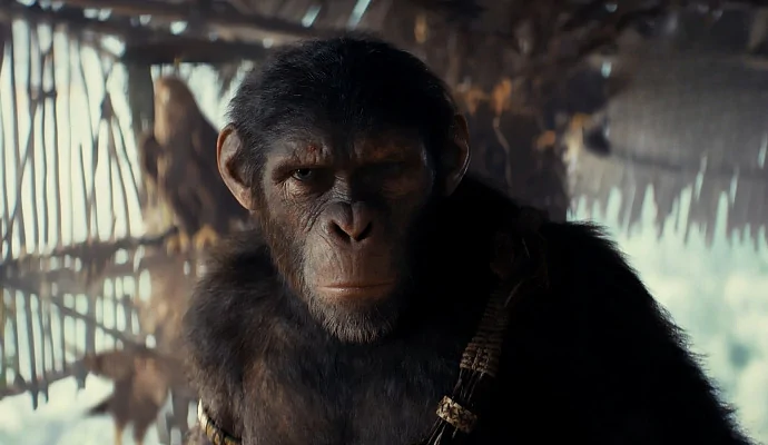 Новые герои — на кадрах «Планеты обезьян: Новое царство»