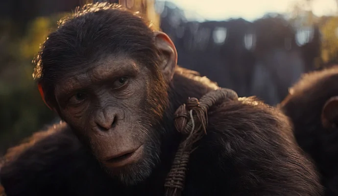 В сети появился новый кадр «Королевства планеты обезьян»
