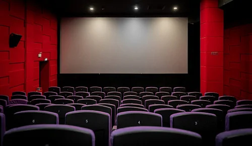 С февраля в России закрылись 125 кинотеатров