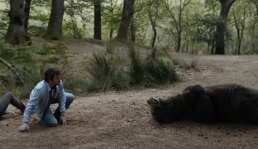 Наелся и чудит: вышел трейлер фильма Элизабет Бэнкс «Кокаиновый медведь»