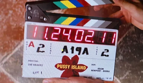 Зои Кравиц начала съёмки своего режиссёрского дебюта Pussy Island