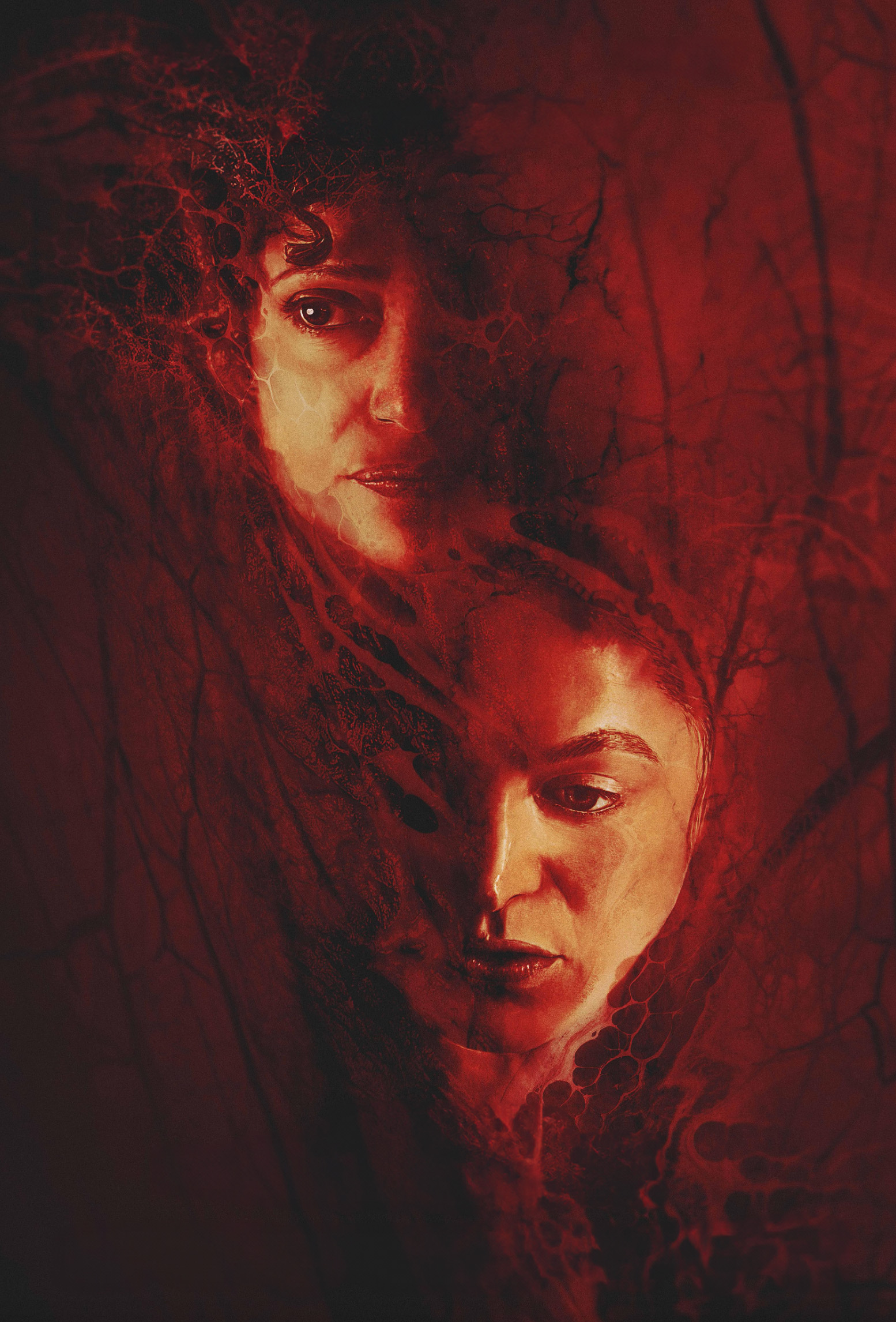 Рождение/перерождение