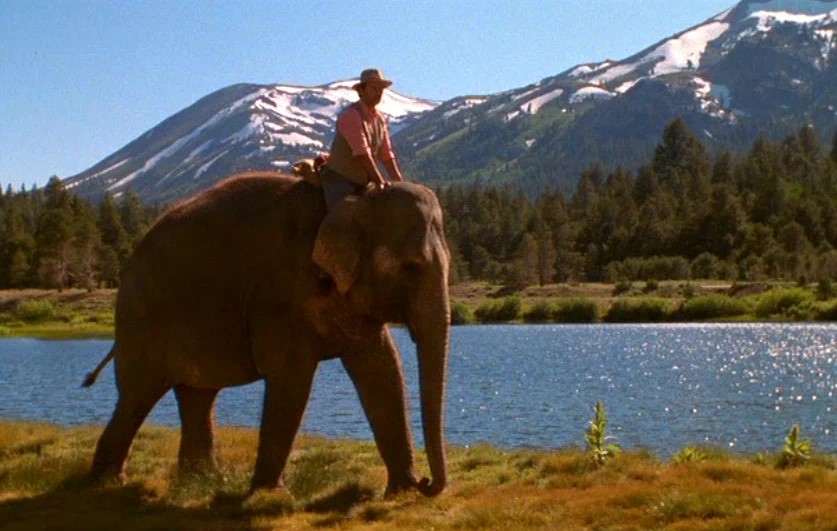 Больше чем жизнь