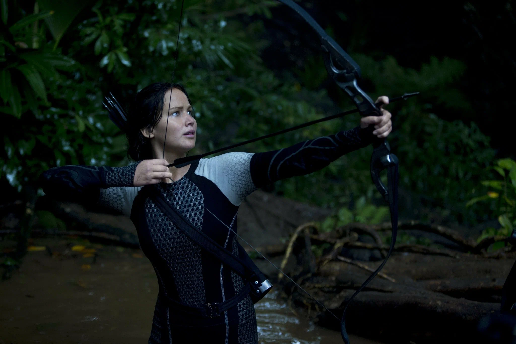 Голодные игры: И вспыхнет пламя