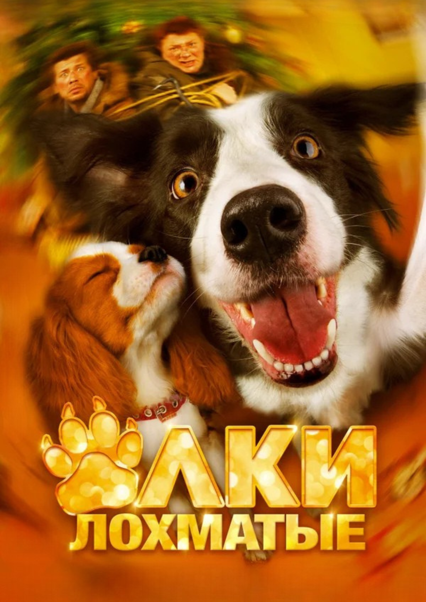 Ёлки лохматые