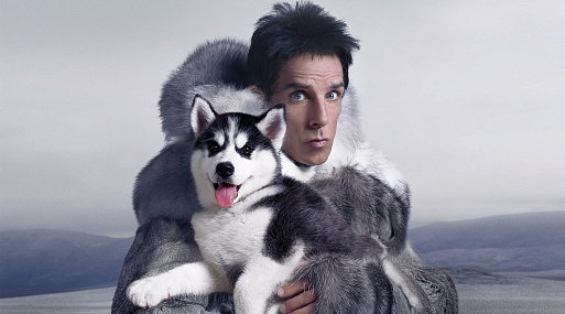 Бен Стиллер до сих пор ошарашен провалом «Образцового самца 2»