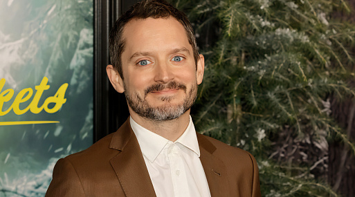 Сара Мишель Геллар и Элайджа Вуд присоединились к сиквелу «Я иду искать»