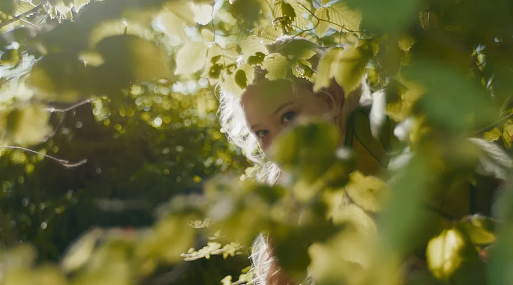 Первый взгляд на фэнтези «Вверх по волшебному дереву»