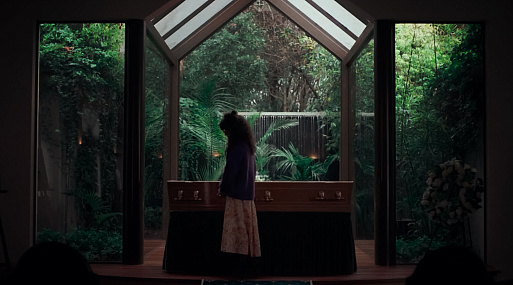 Салли Хокинс в дублированном трейлере хоррора «Верни её из мёртвых» от A24