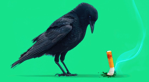 Братья Даффер разрабатывают экранизацию «Жестокой и благородной смерти Бэбс Дионн» для Netflix