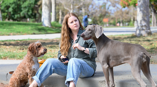 Эми Адамс переживает перемены на первых кадрах драмы Nightbitch