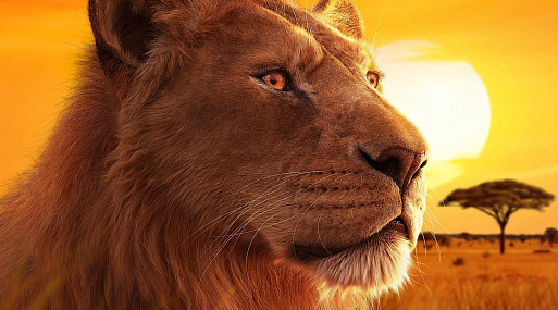 Любуемся персональными постерами «Муфаса: Король Лев»