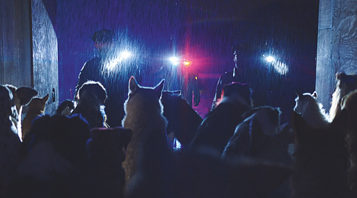 Новый фильм Люка Бессона «Догмен» выйдет в России 15 июня