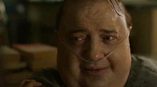 A24 показала трейлер фильма «Кит» с Бренданом Фрейзером и Сэди Синк