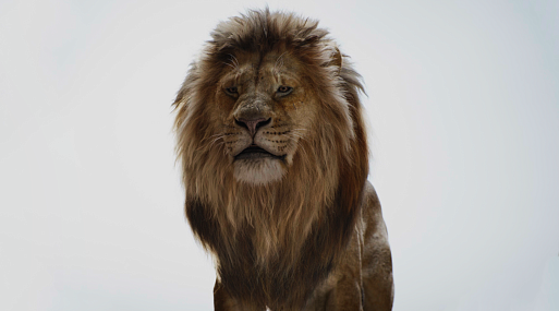 Студия Disney опубликовала первый кадр из фильма «Муфаса: Король лев»