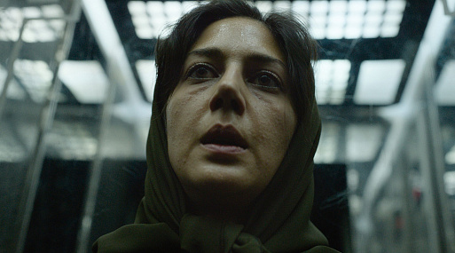 Что смотреть в кино с 11 мая: каннский лауреат от Али Аббаси и байопик про BlackBerry