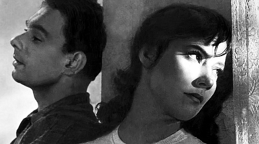 Отреставрированный фильм «Летят журавли» помчится в прокат 13 октября