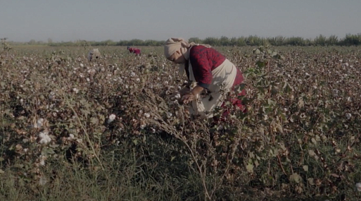На «Артдокфесте» покажут новый фильм от автора социальной драмы «Продукты 24»