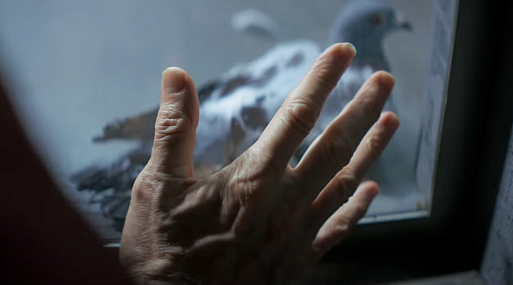 Уиллем Дефо разговаривает с голубем в отрывке из фильма «Внутри»