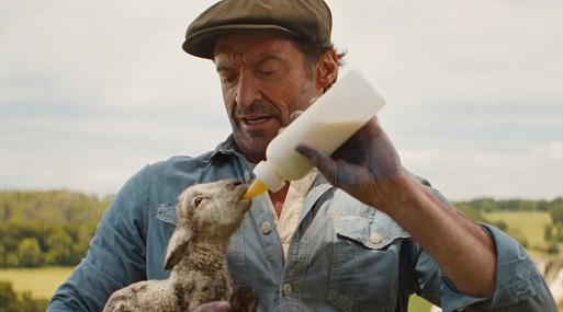 Пастух Хью Джекман в трейлере комедии Пастух Хью Джекман в трейлере комедии «Овечий детектив»