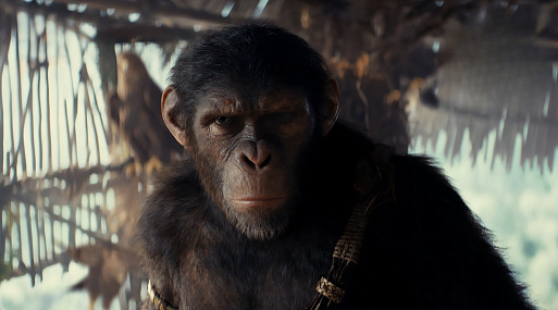 Новые герои — на кадрах «Планеты обезьян: Новое царство»