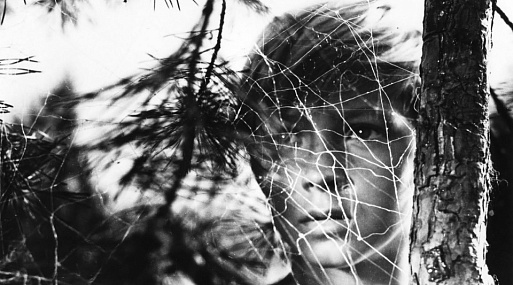 Лучшие рецензии всех времён: Босли Краузер о картине «Иваново детство»