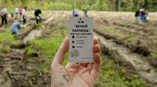 Создатели «Белого парохода» высадили деревья, компенсировав углеродный след от съёмок