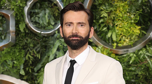 Дэвид Теннант озвучит дроида Хьюянга в сериале «Асока»