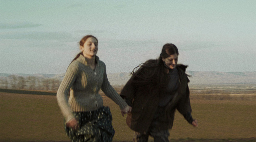 «Клетка ищет птицу»: горизонт покоя