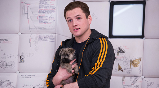 Триквел фильма Kingsman может стать последним для Эггси