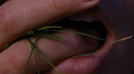 Опубликован первый кадр «Грозового перевала» с Марго Робби и Джейкобом Элорди