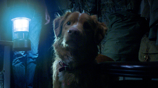 Вышел первый трейлер хоррора «Хороший мальчик»