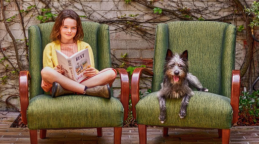 История о лохматом псе Коротышке получит экранизацию