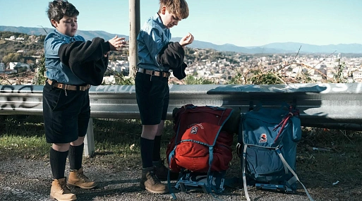 Премьера трейлера нового семейного фильма о поисках лучшего друга — «Пропала собака»