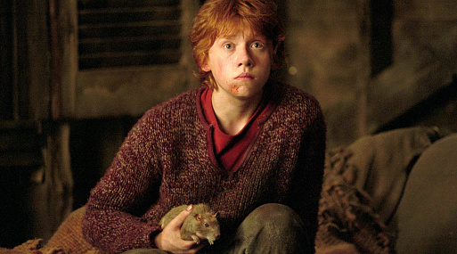 Руперт Гринт не видел большинства фильмов из серии «Гарри Поттер»