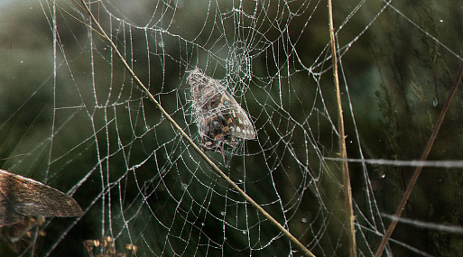 Онлайн-кинотеатр Okko представляет новый тизер триллера «Трасса»