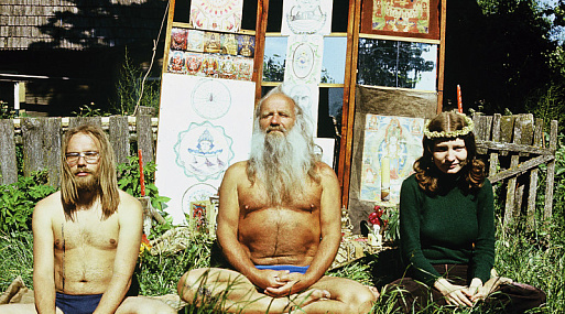 5 документалок о субкультурах: панки, скинхеды и советские хиппи