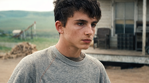 Тимоти Шаламе назвал «Интерстеллар» самым любимым фильмом в своей карьере