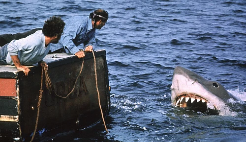 Стивен Спилберг жалеет, что его «Челюсти» ударили по популяции акул