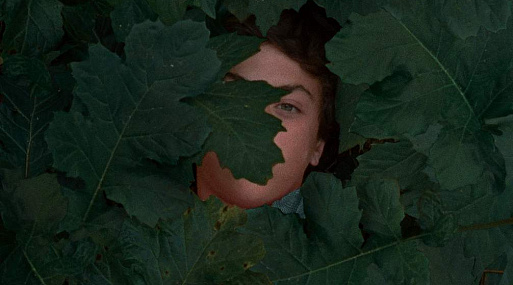 Бал дебютантов: 10 ярких картин, которые стоит посмотреть (если ещё нет)