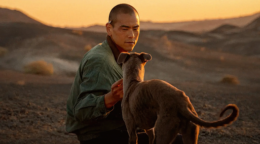 Одинокий зверь и каскадёр завязывают дружбу в трейлере драмы «Чёрный пёс»