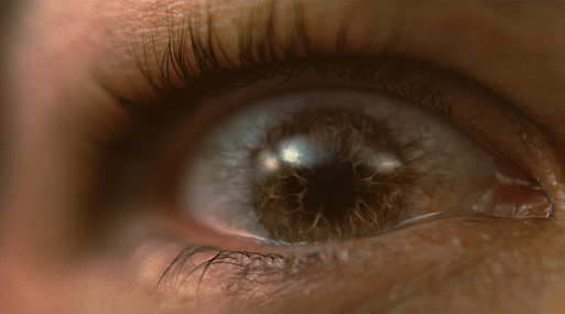 Марио Касас бежит от смерти в трейлере спин-оффа «Птичьего короба»