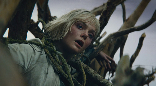 Пиратский чарт за декабрь 2025 года: лидируют «Хищник» и «Очень странные дела»