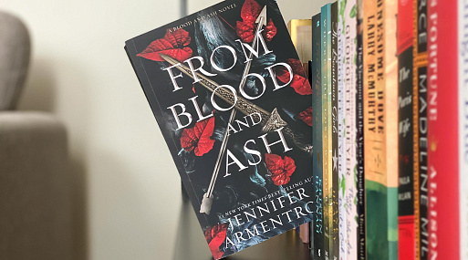 Amazon Studios экранизирует цикл книг «Из крови и пепла» в форме сериала