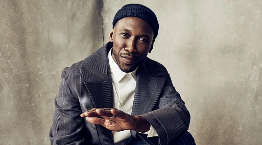 «Блэйд» с Махершалой Али снова потерял режиссёра