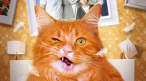Рыжий кот устроит «Котострофу» 5 февраля