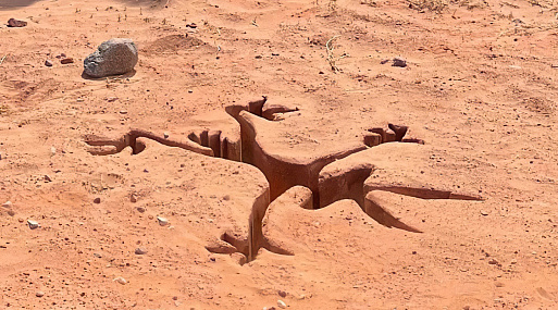 Вышел первый постер комедии «Койот против „Акме“»