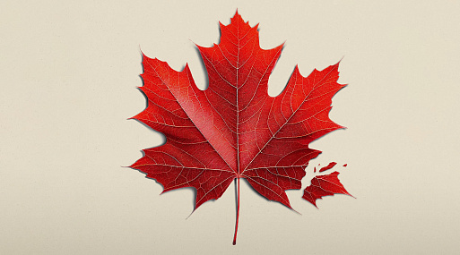 «О, Канада» с Ричардом Гиром и Джейкобом Элорди выйдет в России 6 марта