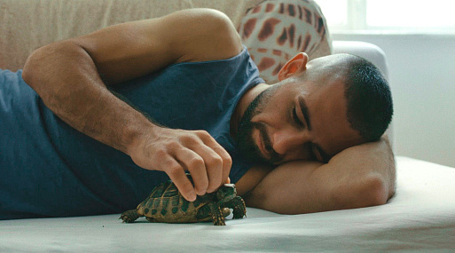 Воспоминания, сельская жизнь и будущее: лучшие фильмы фестиваля «Докер»